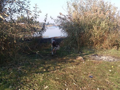 DSC_0381 м.jpg (212.98 КБ) Просмотров: 17597 DSC_0381 м.jpg