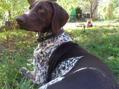 DSC_0233 м.jpg (240.62 КБ) Просмотров: 17587 DSC_0233 м.jpg