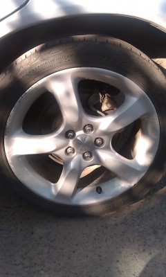 IMAG0025.jpg (555.33 КБ) Просмотров: 1018 IMAG0025.jpg