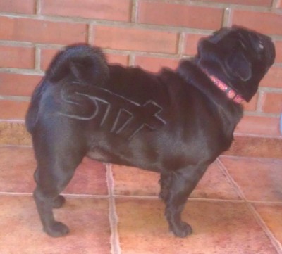 IMAG0558_2.jpg (76.48 КБ) Просмотров: 6060 IMAG0558_2.jpg