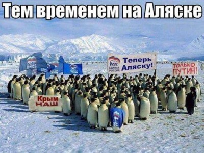 Pu_0006.jpg (57.1 КБ) Просмотров: 4617 Pu_0006.jpg