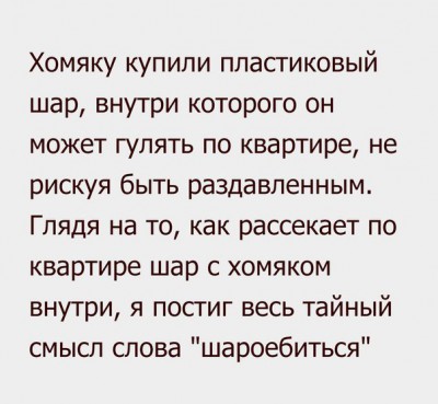хомяк.jpg (60.57 КБ) Просмотров: 6251 хомяк.jpg